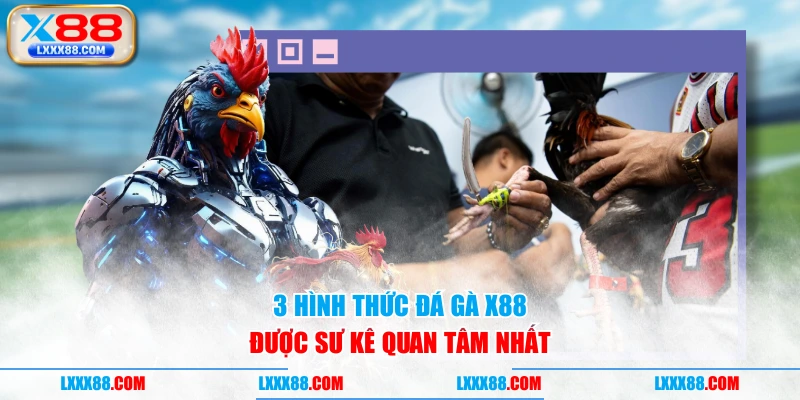 3 hình thức đá gà X88 được sư kê quan tâm nhất