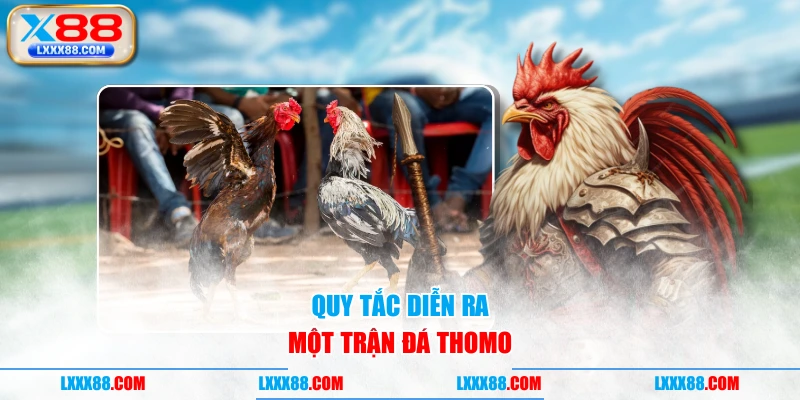Quy tắc diễn ra một trận đá Thomo