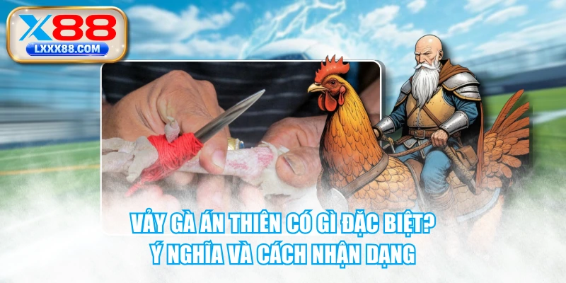 Vảy Gà Án Thiên Có Gì Đặc Biệt? Ý Nghĩa Và Cách Nhận Dạng
